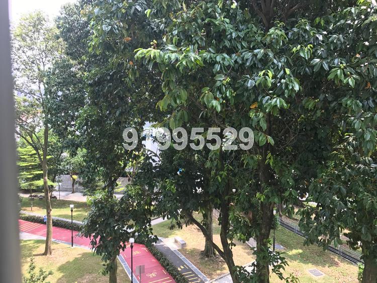Blk 605 Clementi West Street 1 (Clementi), HDB 5 Rooms #151243722
